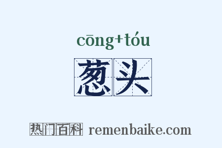 葱头是什么意思的图片